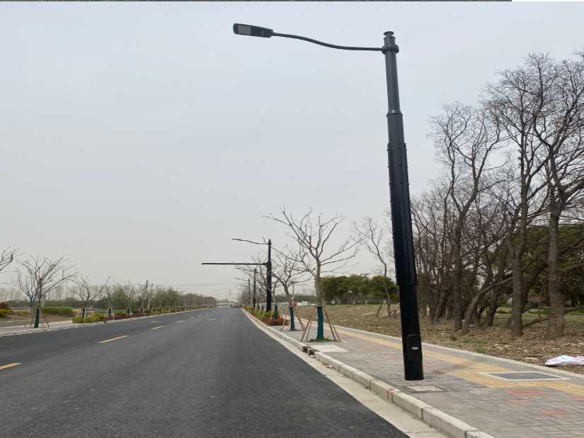 沧源佤族自治县上海综合杆 太阳能路灯工程